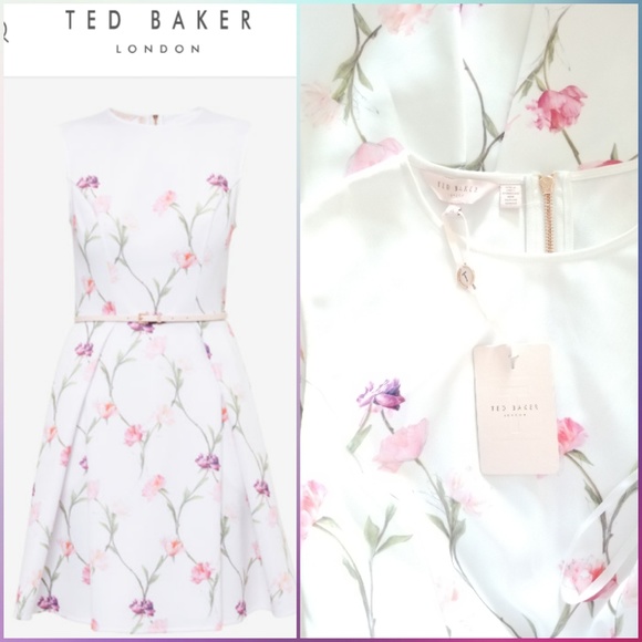 🍒NWT🍒 TED BAKER SKETCHED FLORAL DRESS - Picture 3 of 12